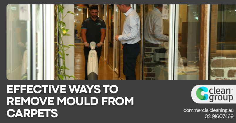 Effective Ways to Remove Mould from Carpets