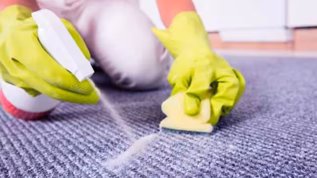 The Importance of Regular Carpet Cleaning for a Healthy Home