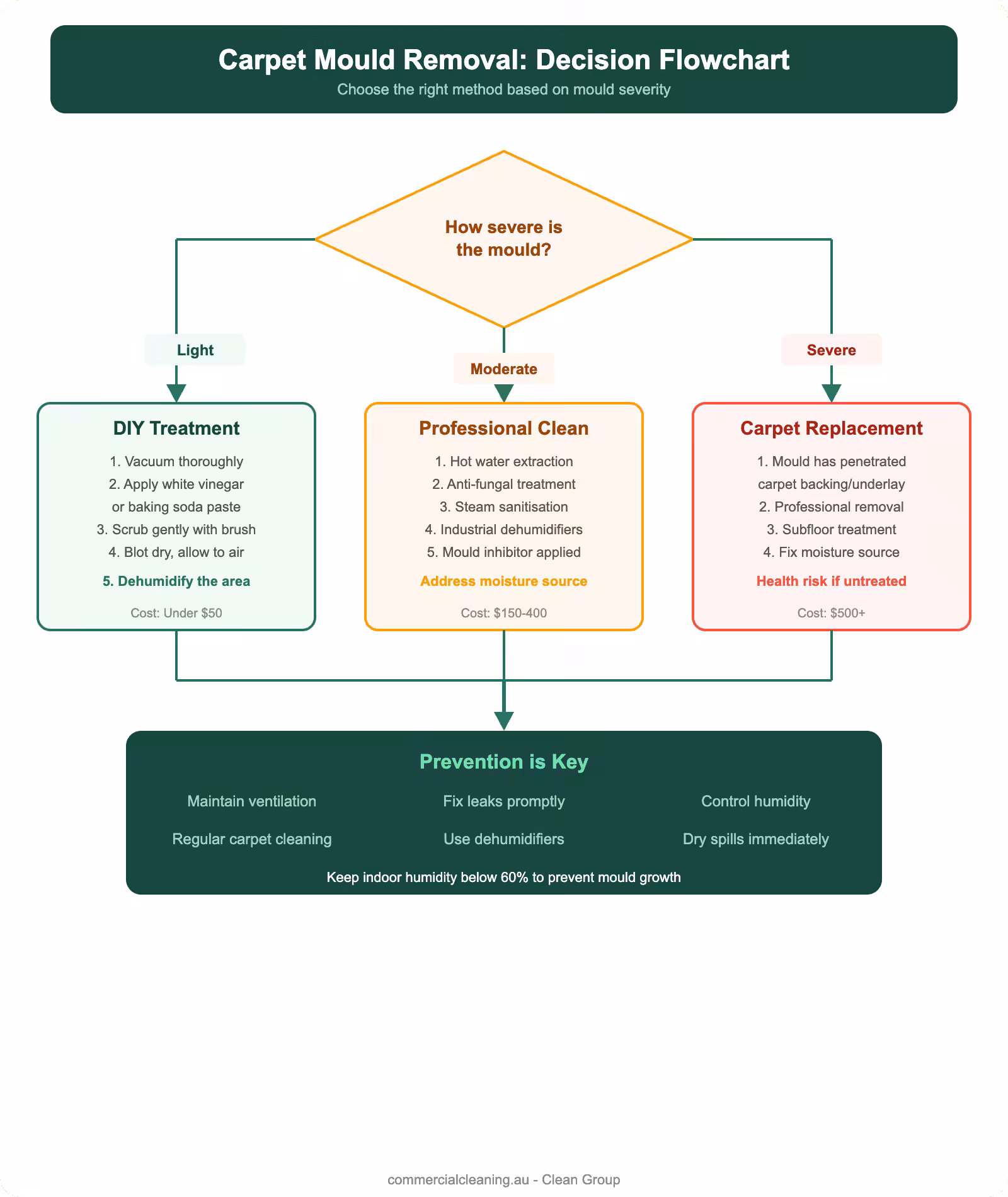 Carpet mould removal decision flowchart showing treatment options by severity level