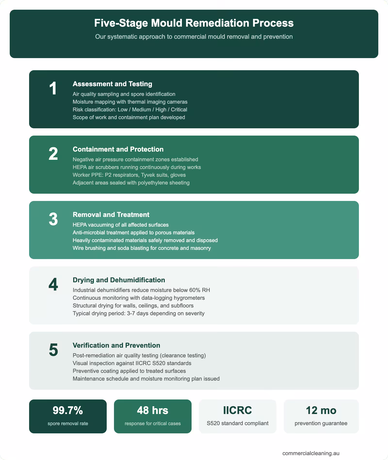 Five-stage mould remediation process infographic showing assessment containment removal drying and verification steps with compliance standards